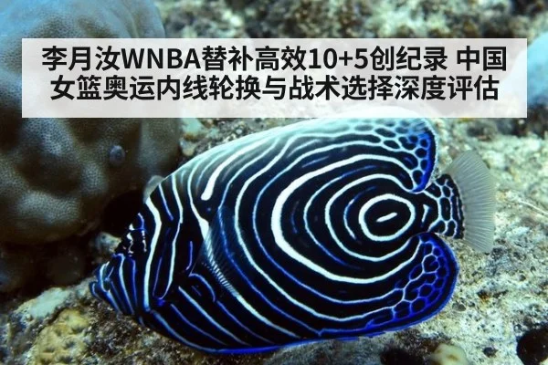 李月汝WNBA替补高效10+5创纪录 中国女篮奥运内线轮换与战术选择深度评估